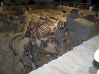 National Landmark Site